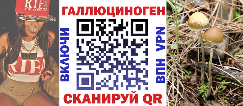 наркошоп  Отрадный  Псилоцибиновые грибы мицелий 